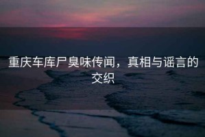 重慶車(chē)庫尸臭味傳聞，真相與謠言的交織