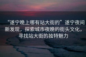 “遂寧晚上哪有站大街的”遂寧夜間新發(fā)現，探索城市夜晚的街頭文化，尋找站大街的獨特魅力