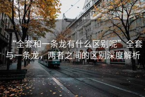 “全套和一條龍有什么區別呢”全套與一條龍，兩者之間的區別深度解析