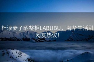 杜淳妻子曬整柜LABUBU，奢華生活引網(wǎng)友熱議！