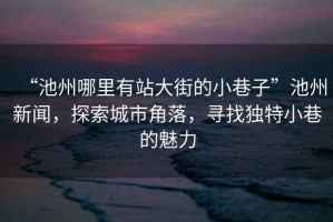 “池州哪里有站大街的小巷子”池州新聞，探索城市角落，尋找獨特小巷的魅力