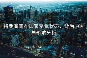 特朗普宣布國家緊急狀態(tài)，背后原因與影響分析
