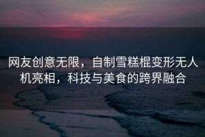 網(wǎng)友創(chuàng  )意無(wú)限，自制雪糕棍變形無(wú)人機亮相，科技與美食的跨界融合