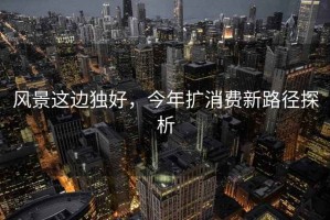 風(fēng)景這邊獨好，今年擴消費新路徑探析