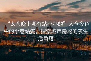 “太倉晚上哪有站小巷的”太倉夜色中的小巷站姿，探索城市隱秘的夜生活角落