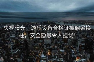 央視曝光，游樂(lè )設備合格證被偷梁換柱，安全隱患令人擔憂(yōu)！