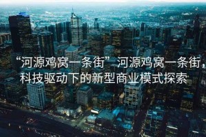 “河源雞窩一條街”河源雞窩一條街，科技驅動(dòng)下的新型商業(yè)模式探索