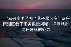 “嘉興南湖區哪個(gè)巷子服務(wù)多”嘉興南湖區巷子服務(wù)數量揭秘，探尋城市隱秘角落的魅力
