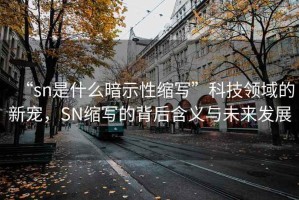 “sn是什么暗示性縮寫(xiě)”科技領(lǐng)域的新寵，SN縮寫(xiě)的背后含義與未來(lái)發(fā)展