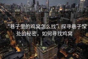 “巷子里的雞窩怎么找”探尋巷子深處的秘密，如何尋找雞窩