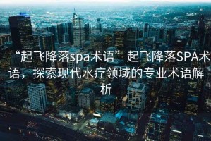 “起飛降落spa術(shù)語(yǔ)”起飛降落SPA術(shù)語(yǔ)，探索現代水療領(lǐng)域的專(zhuān)業(yè)術(shù)語(yǔ)解析