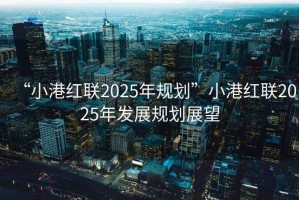 “小港紅聯(lián)2025年規劃”小港紅聯(lián)2025年發(fā)展規劃展望