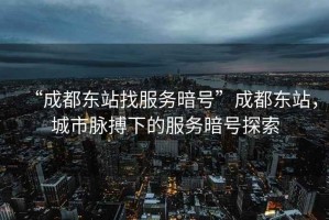 “成都東站找服務(wù)暗號”成都東站，城市脈搏下的服務(wù)暗號探索