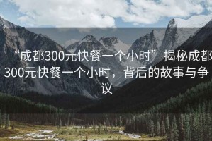 “成都300元快餐一個(gè)小時(shí)”揭秘成都300元快餐一個(gè)小時(shí)，背后的故事與爭議