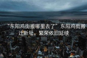 “東陽(yáng)雞街搬哪里去了”東陽(yáng)雞街搬遷新址，繁榮依舊延續