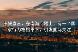 王毅直言，在南海問(wèn)題上，有一個(gè)國家行為格格不入，引發(fā)國際關(guān)注