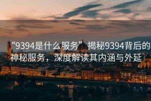 “9394是什么服務(wù)”揭秘9394背后的神秘服務(wù)，深度解讀其內涵與外延