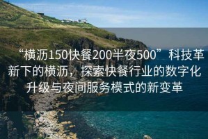 “橫瀝150快餐200半夜500”科技革新下的橫瀝，探索快餐行業(yè)的數字化升級與夜間服務(wù)模式的新變革