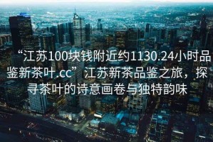 “江蘇100塊錢(qián)附近約1130.24小時(shí)品鑒新茶葉.cc”江蘇新茶品鑒之旅，探尋茶葉的詩(shī)意畫(huà)卷與獨特韻味