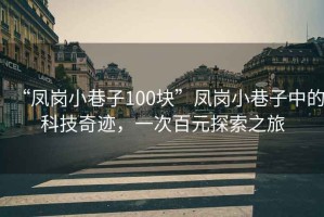 “鳳崗小巷子100塊”鳳崗小巷子中的科技奇跡，一次百元探索之旅