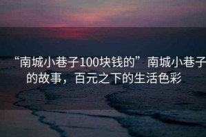 “南城小巷子100塊錢(qián)的”南城小巷子的故事，百元之下的生活色彩