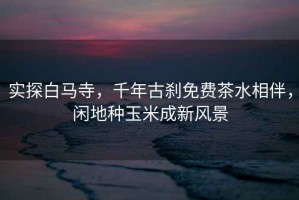 實(shí)探白馬寺，千年古剎免費茶水相伴，閑地種玉米成新風(fēng)景