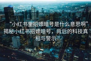 “小紅書(shū)里招嫖暗號是什么意思啊”揭秘小紅書(shū)招嫖暗號，背后的科技真相與警示