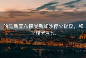 哈馬斯宣布接受新加沙?；鹛嶙h，和平曙光初現