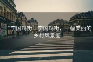 “寧國雞街”寧國雞街，一幅美麗的鄉村風(fēng)景畫(huà)