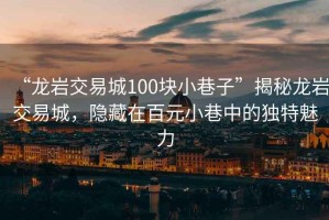 “龍巖交易城100塊小巷子”揭秘龍巖交易城，隱藏在百元小巷中的獨特魅力