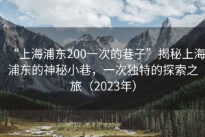 “上海浦東200一次的巷子”揭秘上海浦東的神秘小巷，一次獨特的探索之旅（2023年）