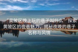 “黃陂區晚上玩的巷子叫什么”探索黃陂區的夜巷魅力，揭秘夜晚的巷子名稱(chēng)與風(fēng)情