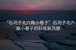“石河子北六路小巷子”石河子北六路小巷子的科技新風(fēng)貌