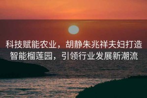 科技賦能農業(yè)，胡靜朱兆祥夫婦打造智能榴蓮園，引領(lǐng)行業(yè)發(fā)展新潮流