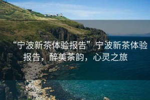 “寧波新茶體驗報告”寧波新茶體驗報告，醉美茶韻，心靈之旅