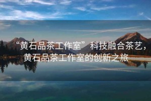 “黃石品茶工作室”科技融合茶藝，黃石品茶工作室的創(chuàng  )新之旅