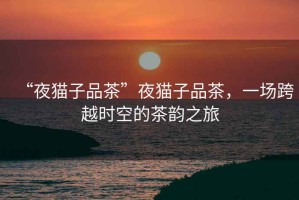 “夜貓子品茶”夜貓子品茶，一場(chǎng)跨越時(shí)空的茶韻之旅