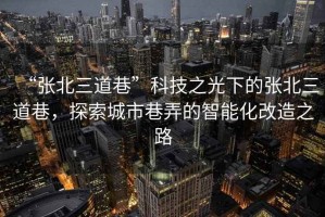 “張北三道巷”科技之光下的張北三道巷，探索城市巷弄的智能化改造之路