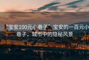 “寶安100元小巷子”寶安的一百元小巷子，城市中的隱秘風(fēng)景