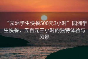 “園洲學(xué)生快餐500元3小時(shí)”園洲學(xué)生快餐，五百元三小時(shí)的獨特體驗與風(fēng)景