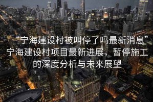 “寧海建設村被叫停了嗎最新消息”寧海建設村項目最新進(jìn)展，暫停施工的深度分析與未來(lái)展望