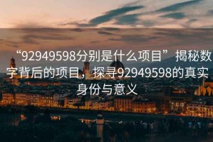“92949598分別是什么項目”揭秘數字背后的項目，探尋92949598的真實(shí)身份與意義