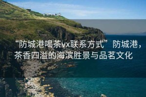 “防城港喝茶vx聯(lián)系方式”防城港，茶香四溢的海濱勝景與品茗文化