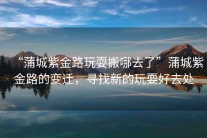 “蒲城紫金路玩耍搬哪去了”蒲城紫金路的變遷，尋找新的玩耍好去處