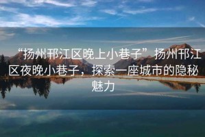 “揚州邗江區晚上小巷子”揚州邗江區夜晚小巷子，探索一座城市的隱秘魅力