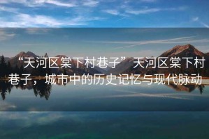 “天河區棠下村巷子”天河區棠下村巷子，城市中的歷史記憶與現代脈動(dòng)