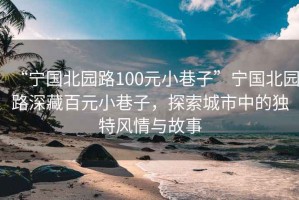 “寧國北園路100元小巷子”寧國北園路深藏百元小巷子，探索城市中的獨特風(fēng)情與故事