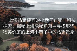 “上海站街便宜的小巷子在哪”科技探索，揭秘上海隱秘角落—尋找那些物美價(jià)廉的上海小巷子中的站街景象