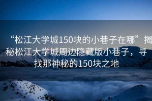 “松江大學(xué)城150塊的小巷子在哪”揭秘松江大學(xué)城周邊隱藏版小巷子，尋找那神秘的150塊之地
