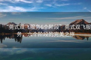 “莞式雙飛服務(wù)6個(gè)階段”莞式雙飛服務(wù)，六個(gè)階段的完美之旅